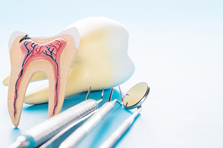 Steven E. Marek, DDS, LTD